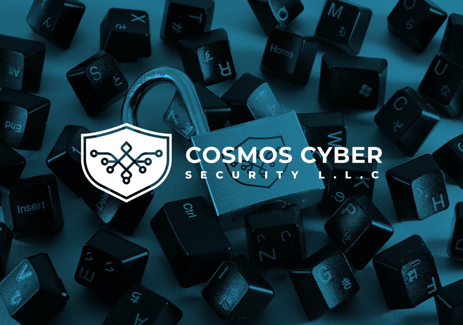 Cosmos Cyber Security