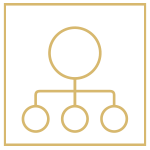 Site Supervision & Coordination 